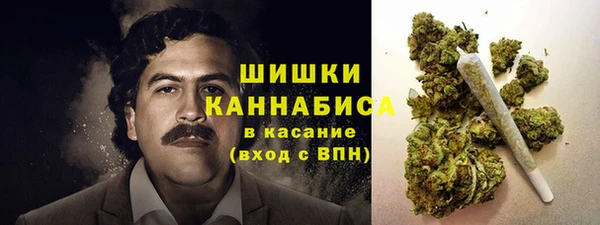 сатива Баксан