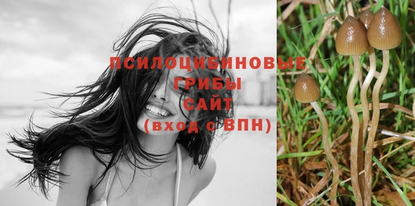 сатива Баксан