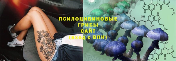 спиды Балабаново