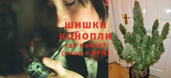 сатива Баксан