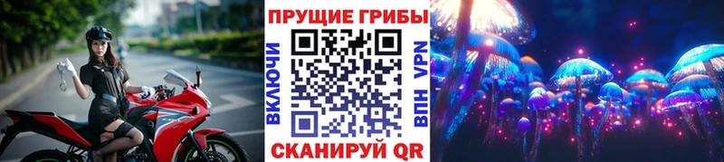 Купить  Елизаветинская  Псилоцибиновые грибы Psilocybine cubensis 